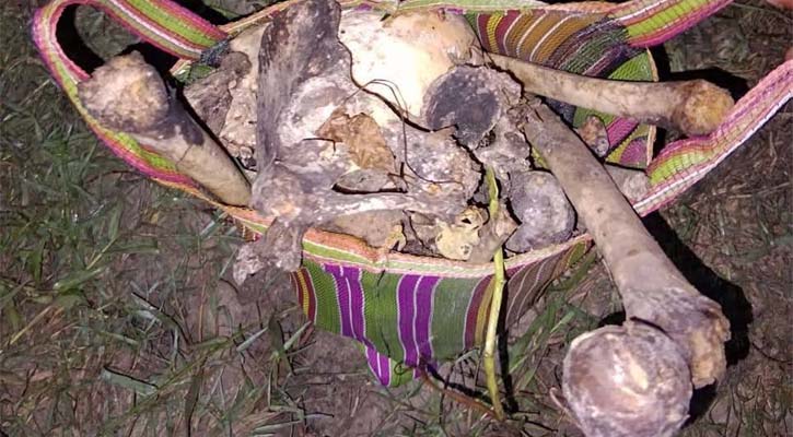 নড়াইলে কচুরিপানার ভেতর মিললো মানুষের কঙ্কাল
